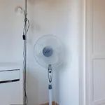Casa Alisio Papagayo Irent Fuerteventura Corralejo