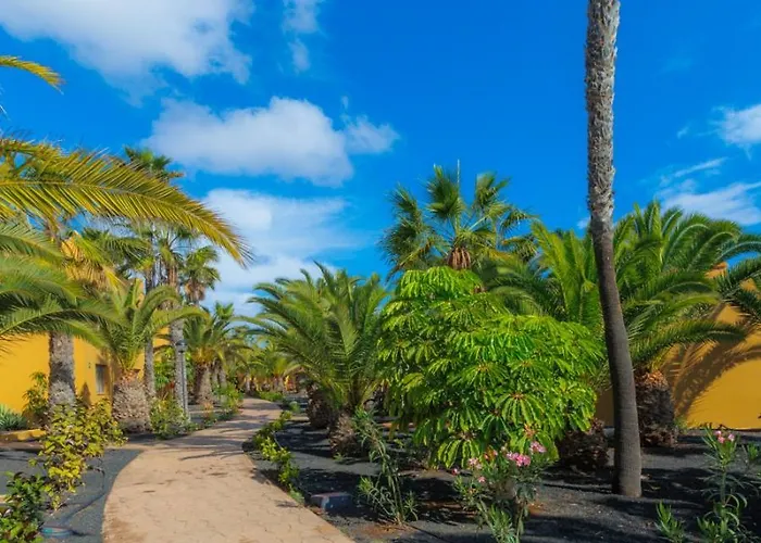 Casa Alisio Papagayo Irent Fuerteventura
